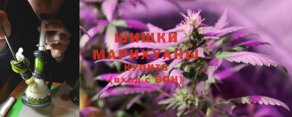 apvp Богородск