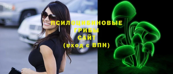 гидра Белоозёрский