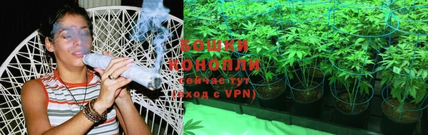гидра Белоозёрский