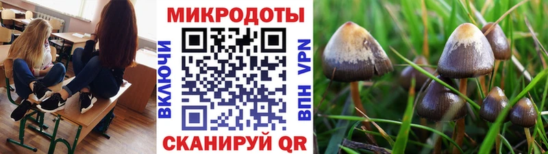 где продают наркотики  Малая Вишера  Псилоцибиновые грибы ЛСД 